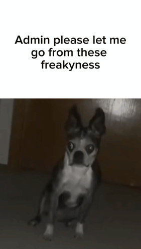 Black and White Dog Please Let Me Go