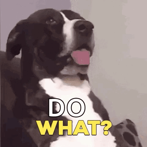Black and White Dog Sticking Tongue Out Saying Do What?