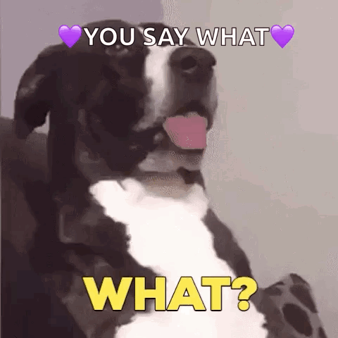 Black and White Dog Tongue Out Says What