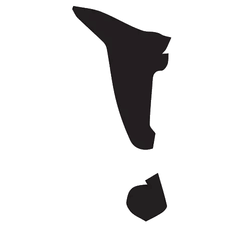 Black and White Dolphin Silhouette