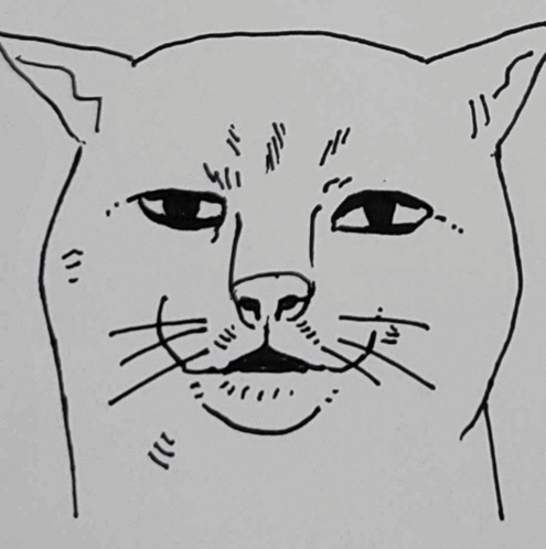 Black And White Drawing Of A Cat 'S Face GIF