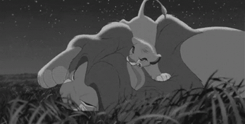 Black and White Drawing of Lion and Cub