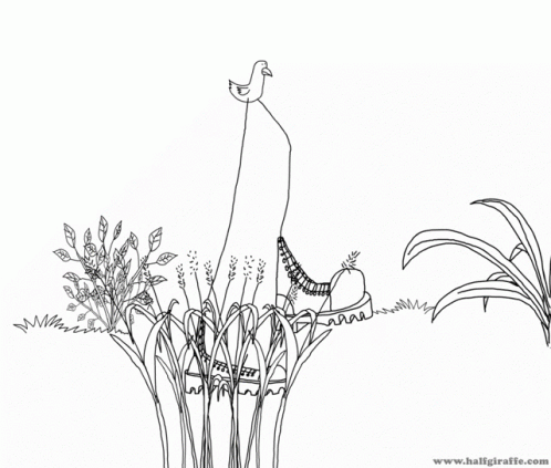 Black And White Drawing Www.halfgiraffe.com GIF