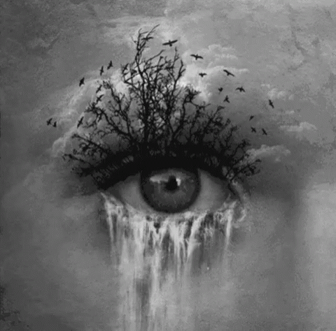Black and White Eye With Tree Inside