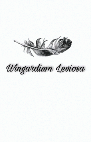 Black and White Feather Wingardium Leviosa