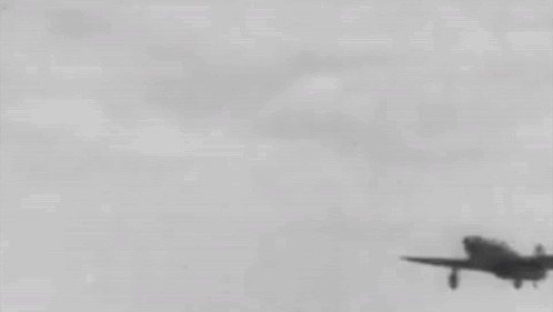 Black and White Fighter Jet Flying