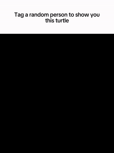 Black And White Fish Tag A Random Person GIF