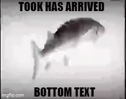 Black and White Fish Took Has Arrived Bottom Text