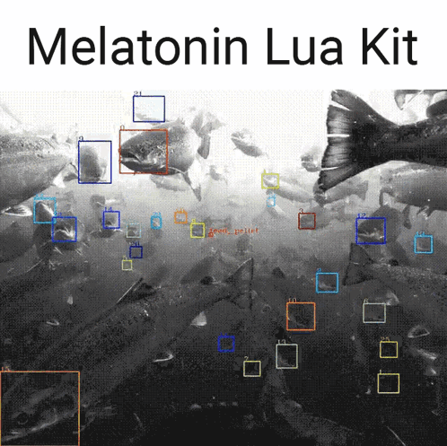 Black And White Fish With Melatonin Lua Kit GIF
