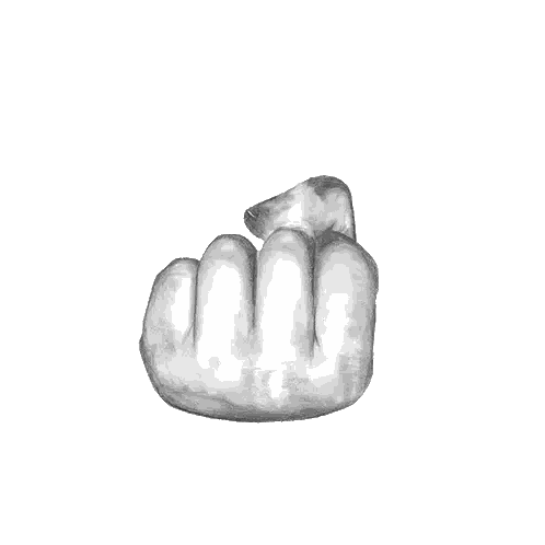 Black and White Fist Showing Middle Finger