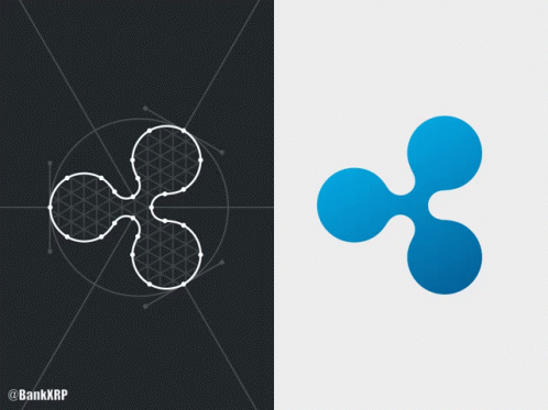 Black And White Flower With Blue Circle GIF