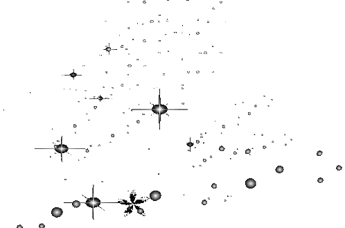 Black and White Flowers and Stars