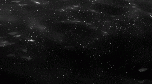 Black And White Flowers Floating GIF