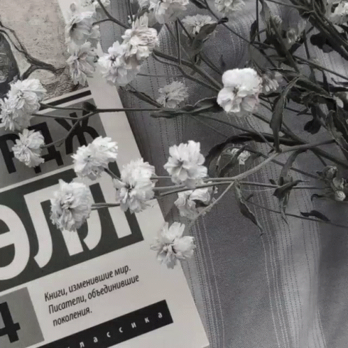 Black and White Flowers Next to Book книги