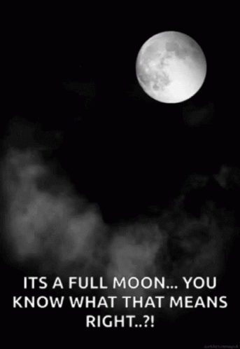 Black and White Full Moon It's a Full Moon You Know What That Means Right
