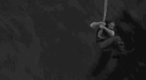 Black And White Funny Flynn Rider GIF