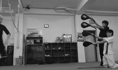 Black And White Group Practicing Martial Arts GIF
