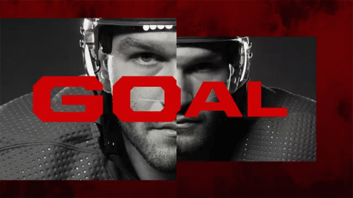 Black and White Hockey Player with Red Goal
