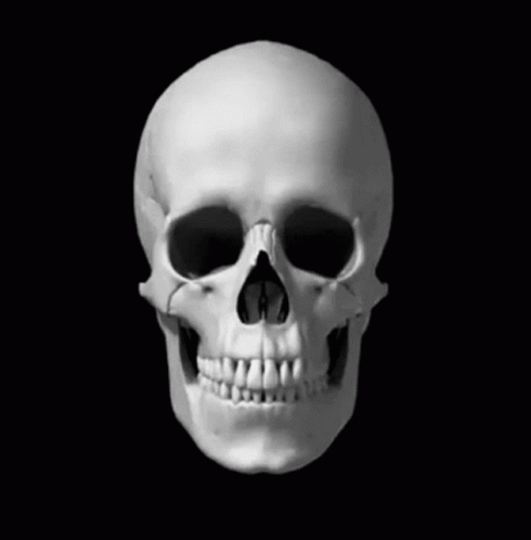 Black And White Human Skull With Teeth GIF