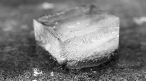 Black and White Ice Cube