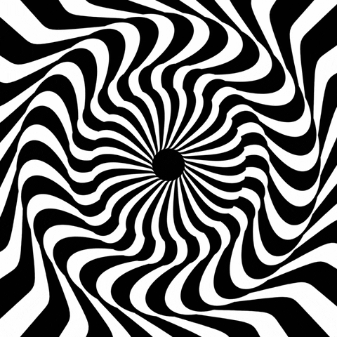 Black And White Illusion Swirl GIF