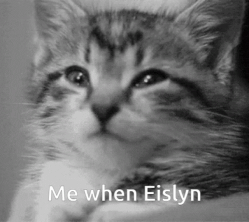 Black and White Kitten Me When Eislyn