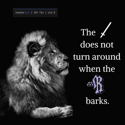 Black And White Lion Doesn't Turn When Barks GIF