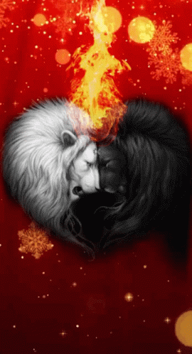 Black and White Lion With Fire on Head