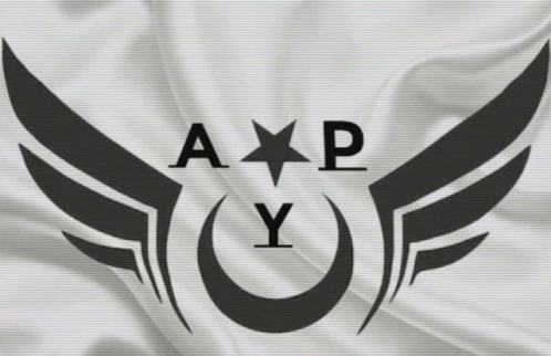 Black And White Logo A P Y GIF