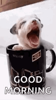 Black and White Man and Woman Kissing With Pxln2 Gifs Watermark