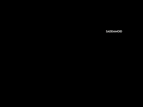 Black and White Man Giving Speech Saddammoid