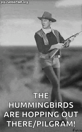 Black and White Man Holding Gun in Field