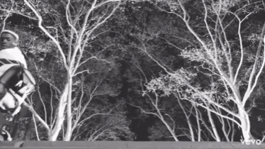 Black and White Man Riding Skateboard in Forest