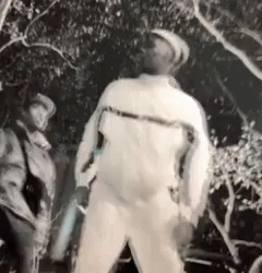 Black and White Man Standing by Tree