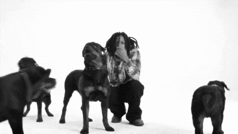 Black and White Man With Dreadlocks Looking at Camera