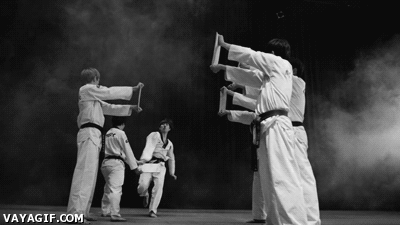 Black And White Martial Arts Fighters Vayagif.com GIF