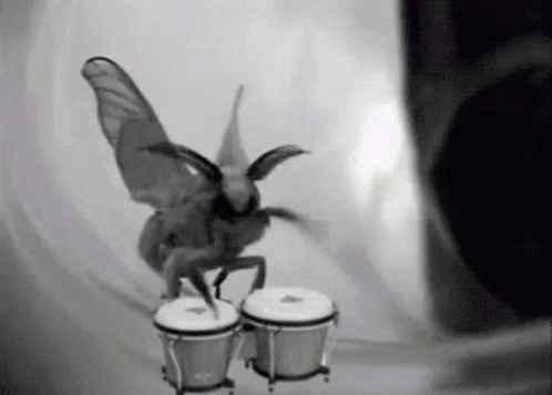Black and White Moth Playing Bongos
