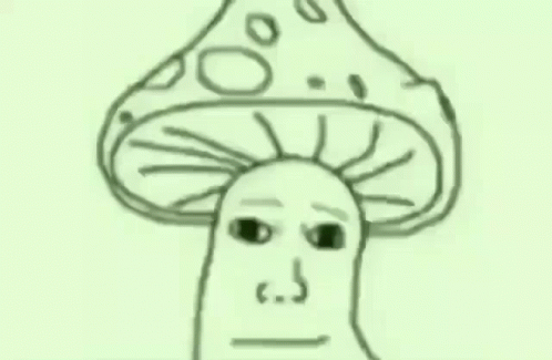 Black and White Mushroom With Face