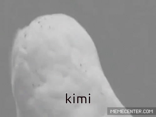 Black and White Owl with Word Kimi on Face