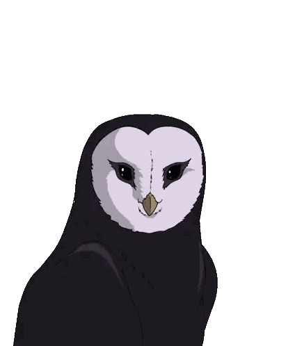 Black and White Owl with Yellow Beak