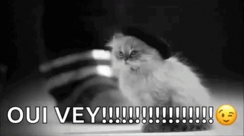 Black And White Oy Vey GIF