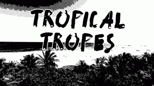 Black and White Palm Trees Tropical Tropes