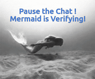 Black and White Pause the Chat Mermaid Is Verifying