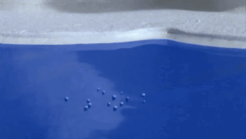 Black and White Penguin Floating in Blue Pool