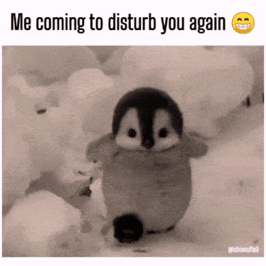 Black and White Penguin Saying Me Coming to Disturb You