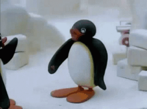 Black and White Penguin with Orange Feet