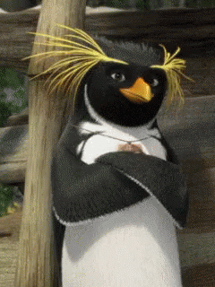 Black and White Penguin with Yellow Head Arms Crossed