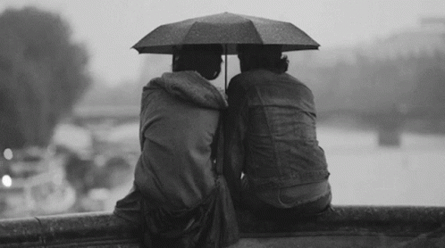 Black and White Person on Rainy Bench with Visa Umbrella