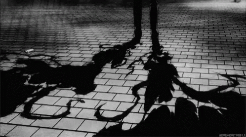 Black and White Person's Shadow on Brick Floor