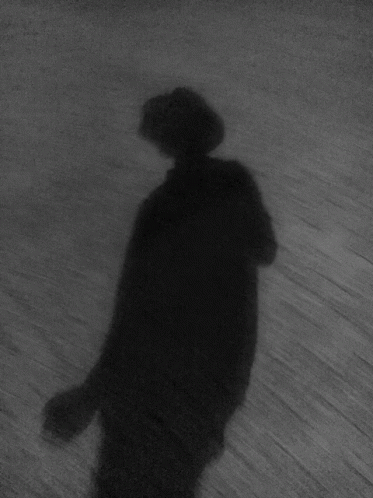 Black And White Person Shadow GIF